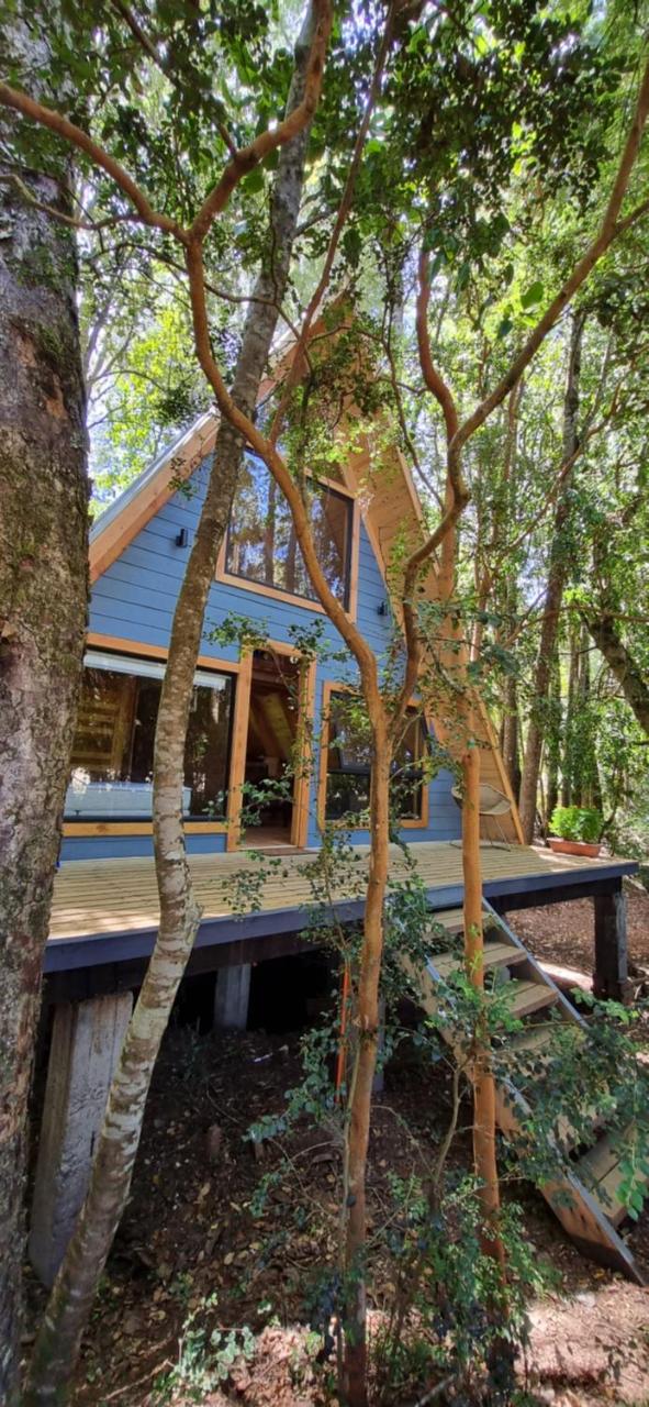 Cabaa Alpina Bosques de Cudico