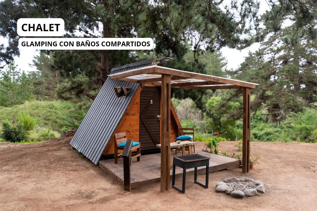Cabaitas del Bosque